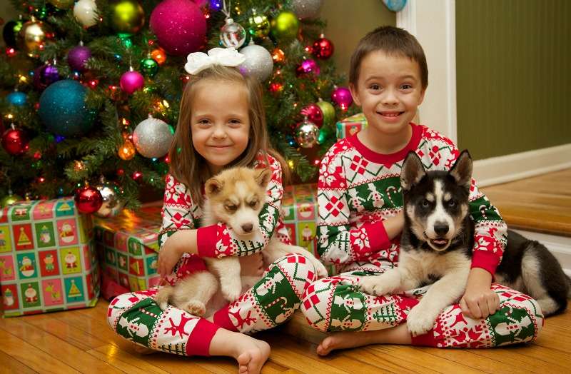 regali natale cane bambino