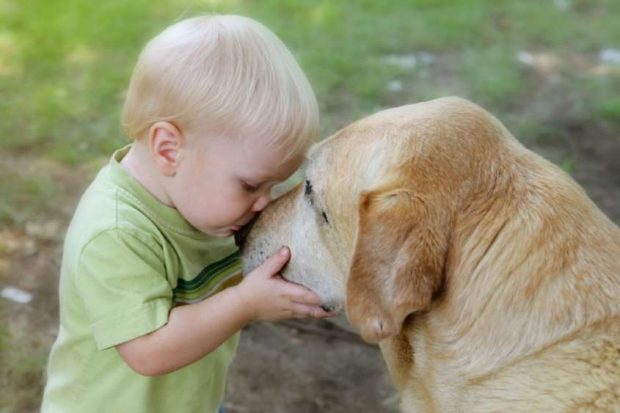 cane bambino bacio