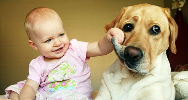 cane e bambino