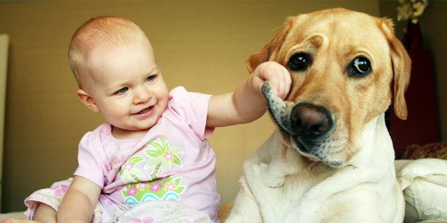 cane e bambino