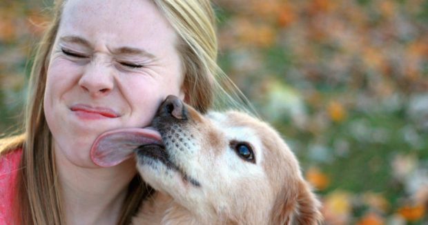 Perché il cane ci lecca? E' una dimostrazione di affetto ...