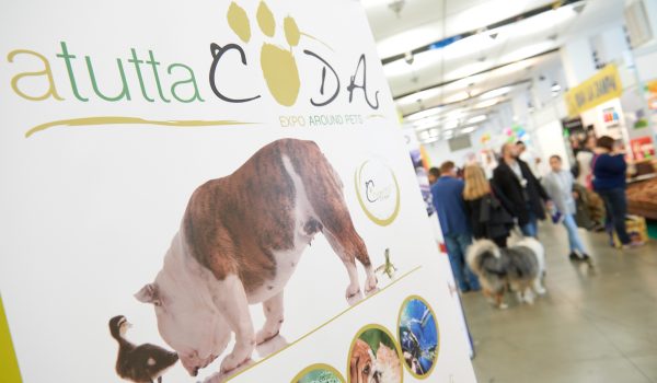 aTuttaCoda fiera cani torino