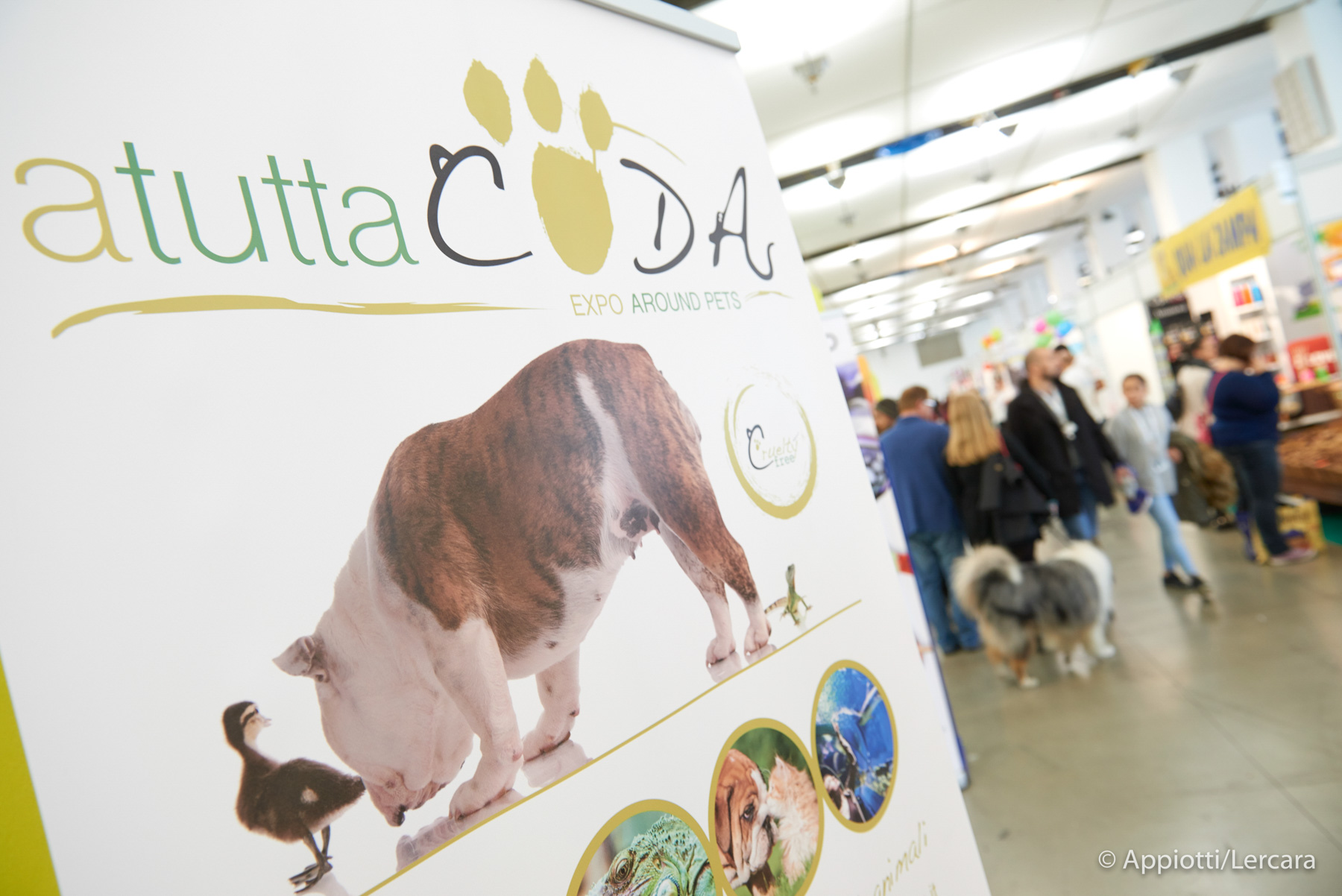 aTuttaCoda fiera cani torino