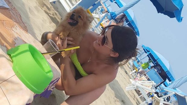 cani spiaggia rimini