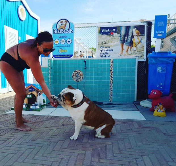 spiaggia cani rimini