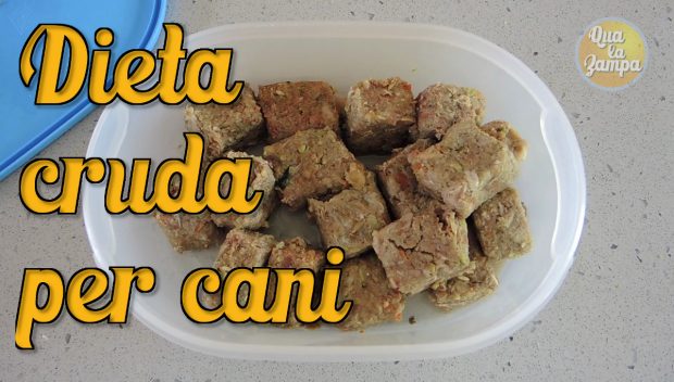 dieta carne cruda cani barf