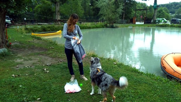 cane bagno lago montagna petvillage 