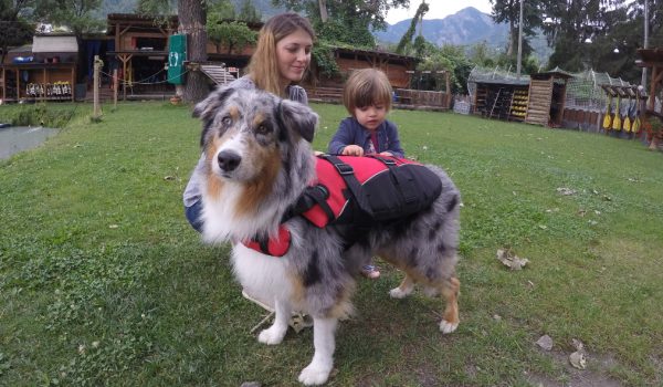 cane bagno lago petvillage