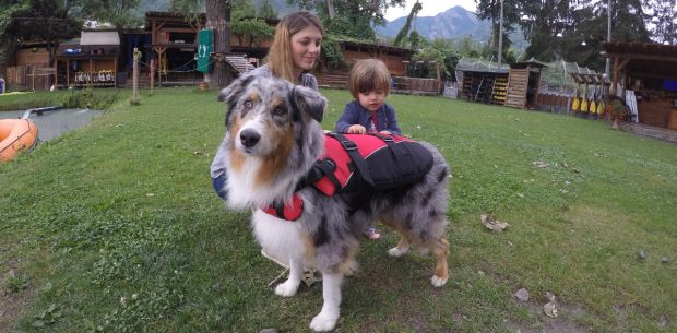 cane bagno lago petvillage