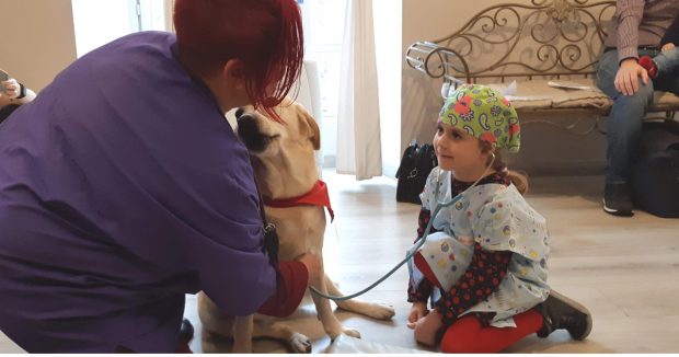 diabete cane veterinario