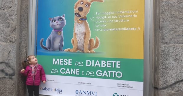 mese diabete cane e gatto