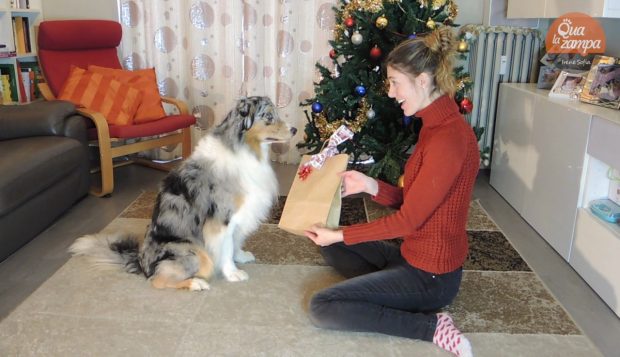 regalo natale cani monge