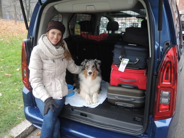 opel combo auto cani bambini famiglia 2