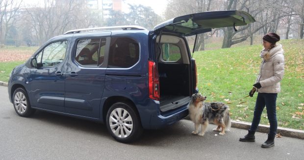 opel combo auto cani bambini famiglia 3