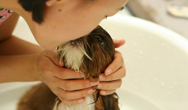 bagno cane cucciolo