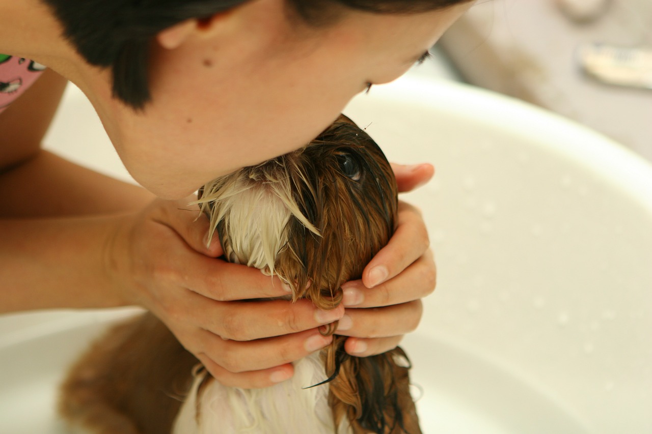bagno cane cucciolo