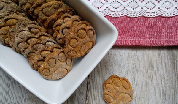 biscotti per cani ricette snack