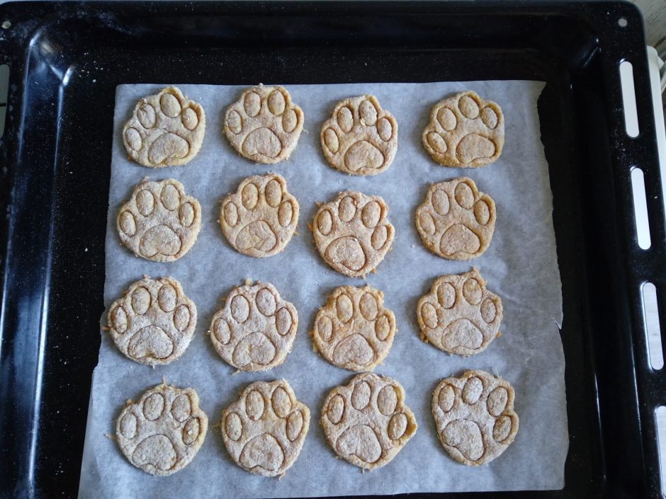 biscotti per cani snack ricette