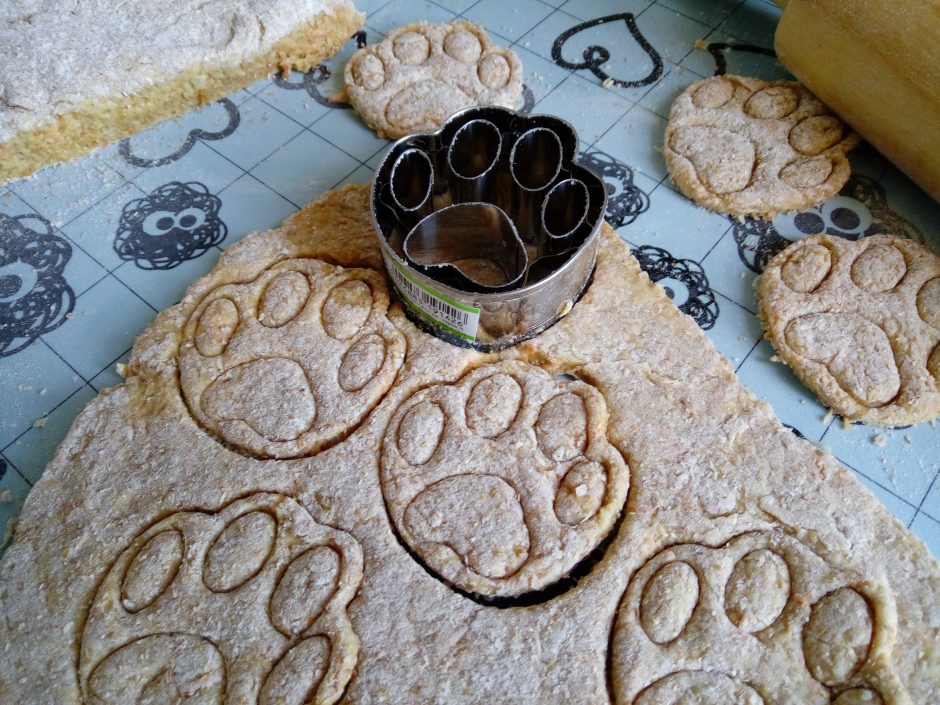 biscotti per cani snack ricette