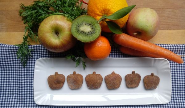 biscotti alla frutta per cani