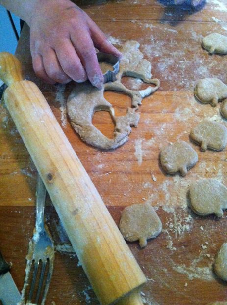 preparazione biscotti per cani