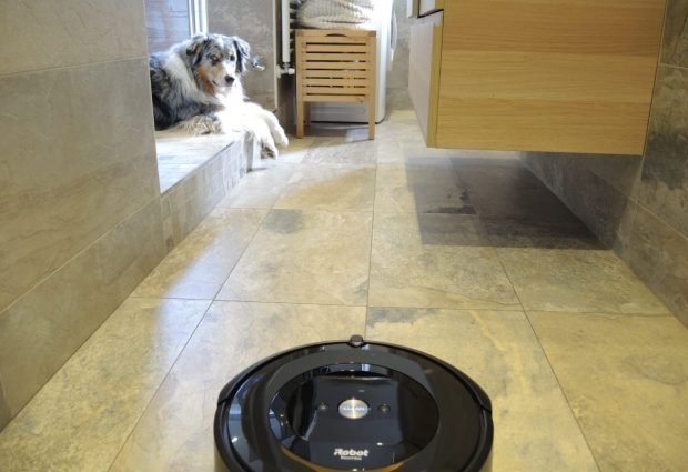 cane bagno aspirapolvere roomba