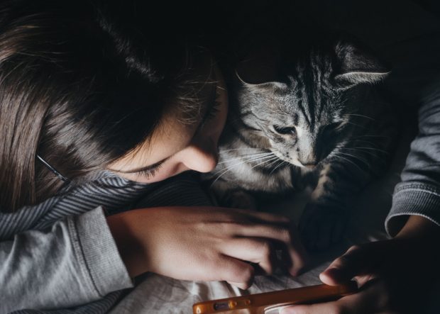 bambina e gatto coccole