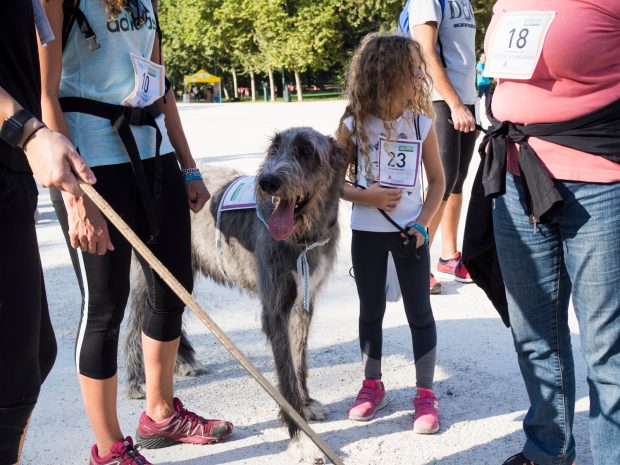 maratona cane bambina milano pet week