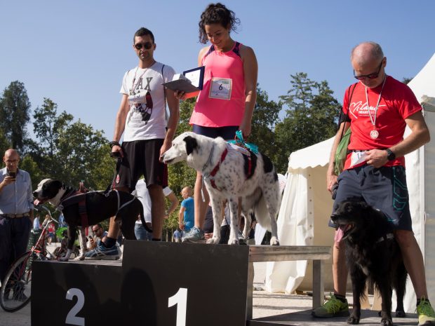 maratona cani milano premiazione