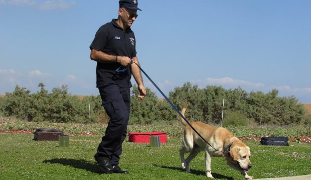 cane polizia