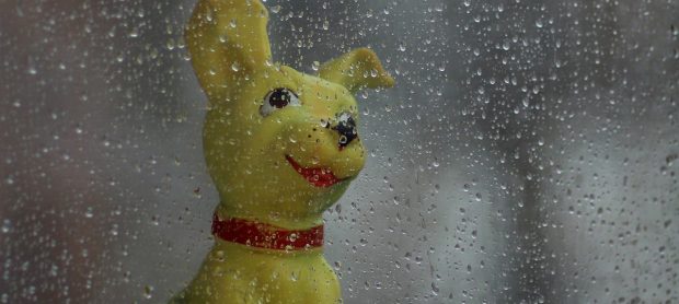 gioco a forma di cane dietro vetro con pioggia