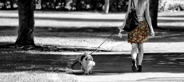 passeggiata cane ragazza blog