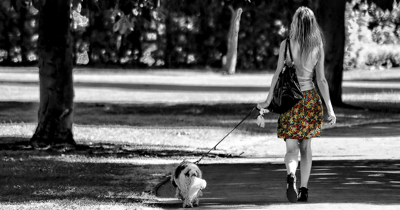 passeggiata cane ragazza fb